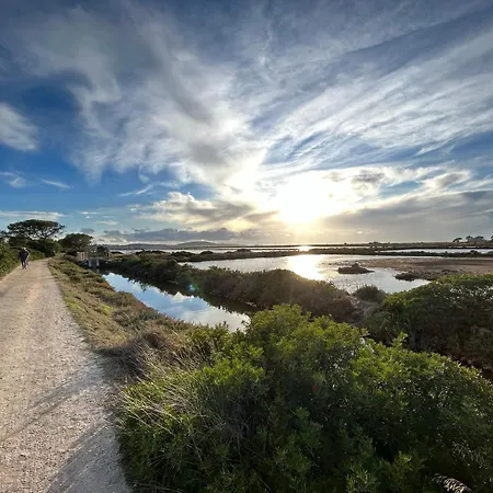 Semesterbostad Location 4p T3 Neuf /2ch A 300m Ds Rdch Sur Presqu'ile De Giens 83